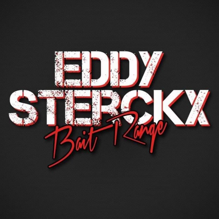 web logo