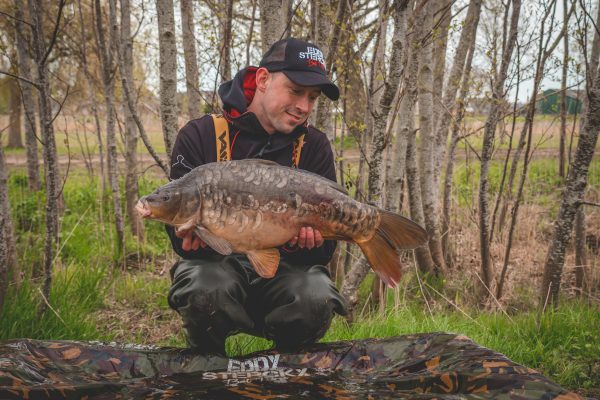 diepvriesboilies