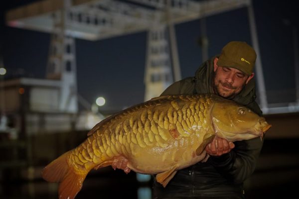 WhatsApp Image 2026-01-13 at 12.29.07